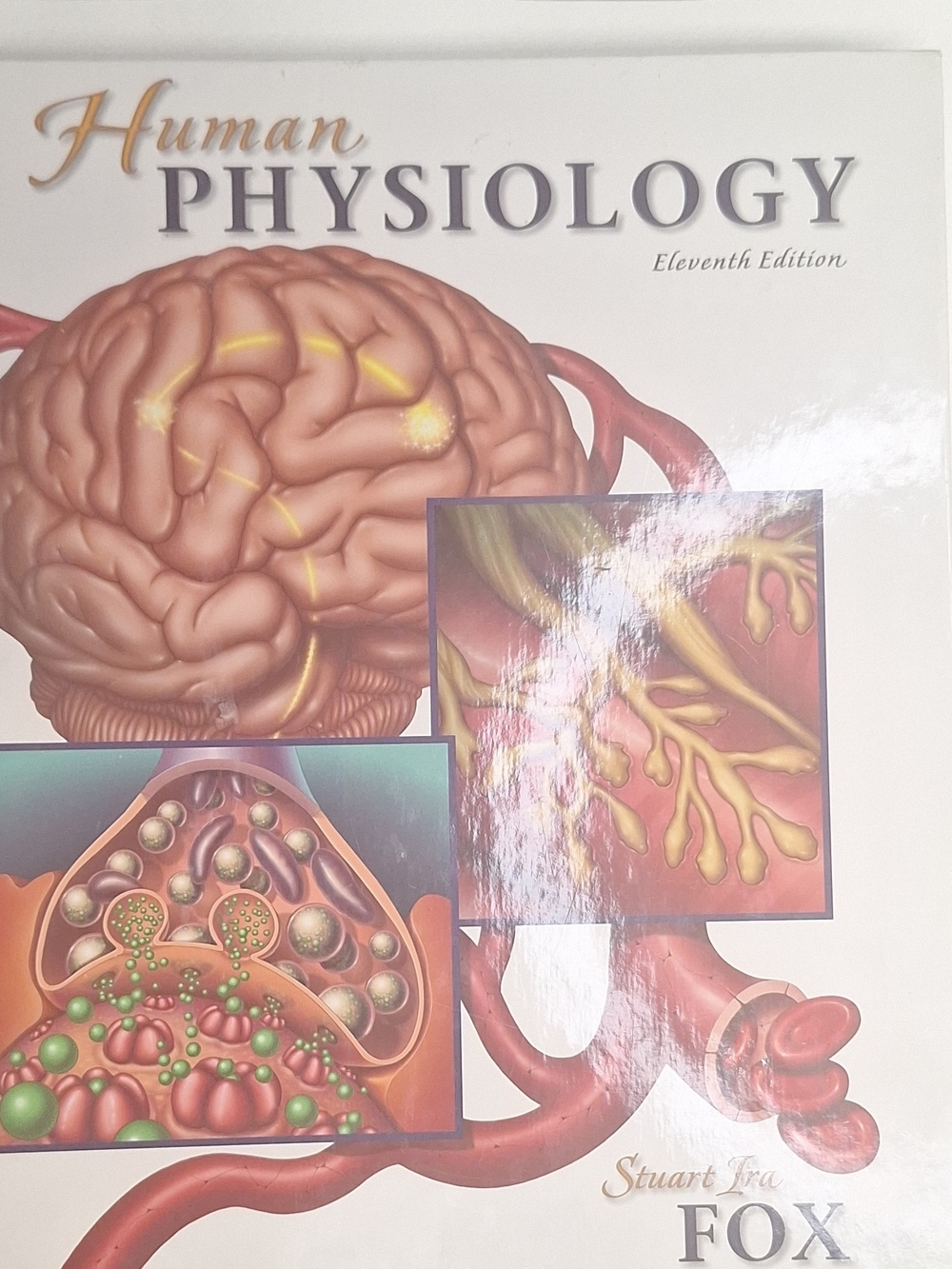 Human Physiology Textbook Cover - White and Cream